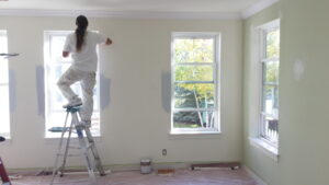 HOA Painting Company in Bucktown, Exterior Metal Painting in Bucktown, Deck Staining in Bucktown